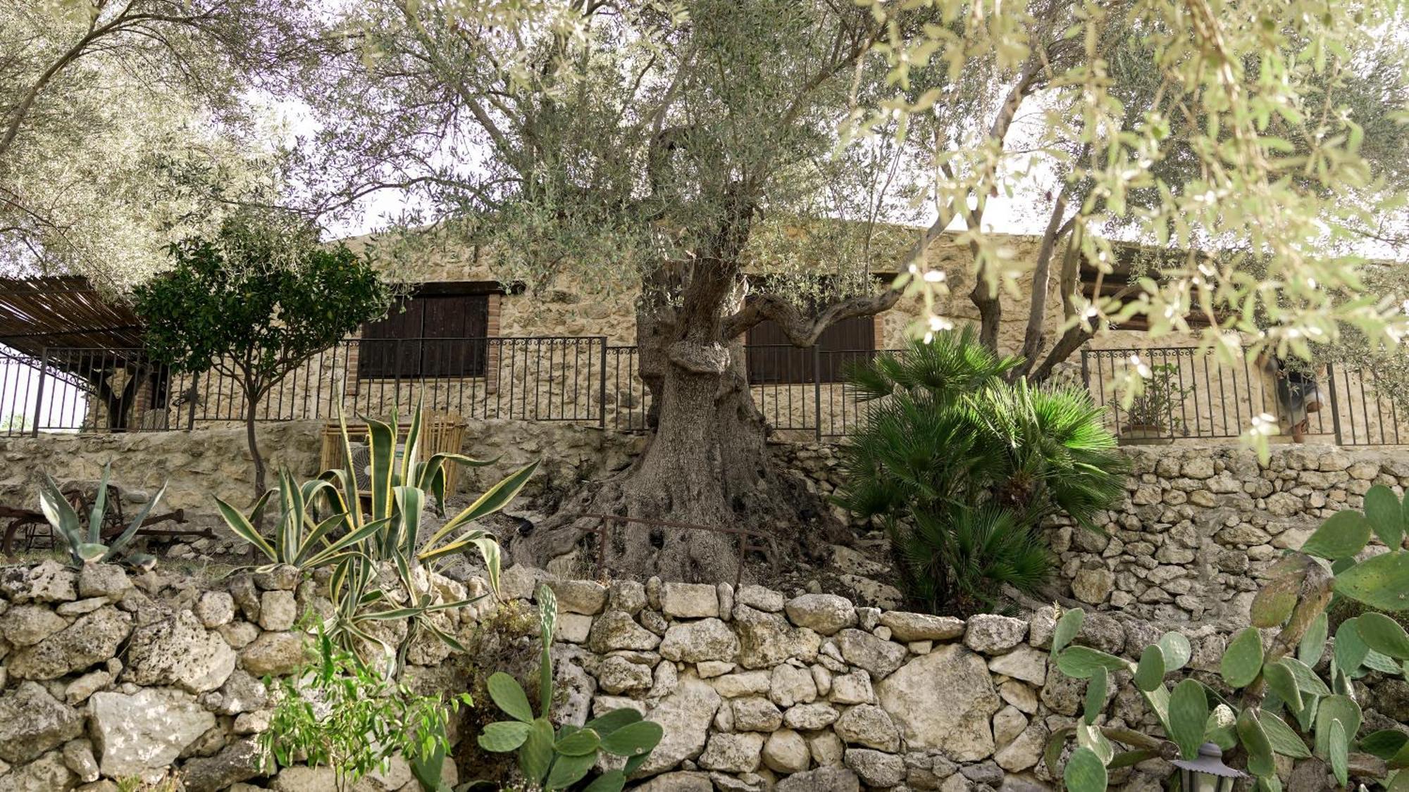 Roba Degli Ulivi Bed & Breakfast Agrigento Ngoại thất bức ảnh
