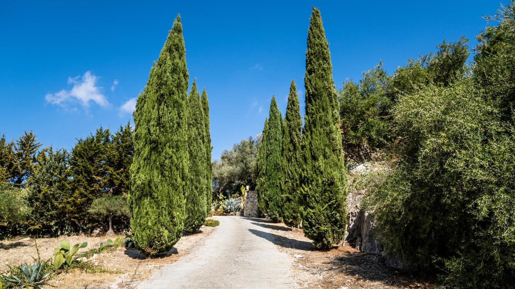 Roba Degli Ulivi Bed & Breakfast Agrigento Ngoại thất bức ảnh