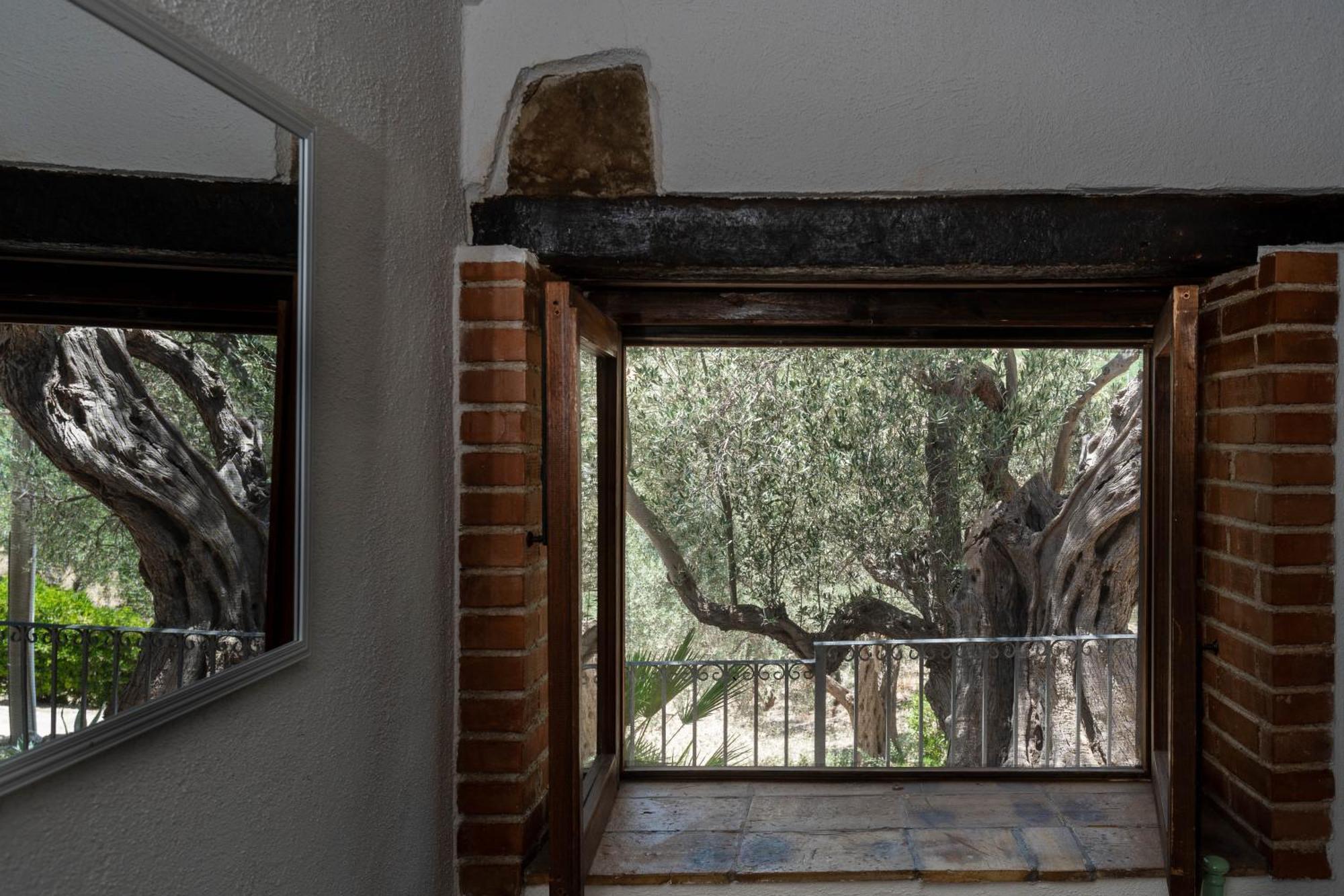 Roba Degli Ulivi Bed & Breakfast Agrigento Ngoại thất bức ảnh